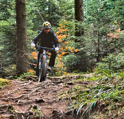 A mountain biker riding a rooty forest trail through the trees
